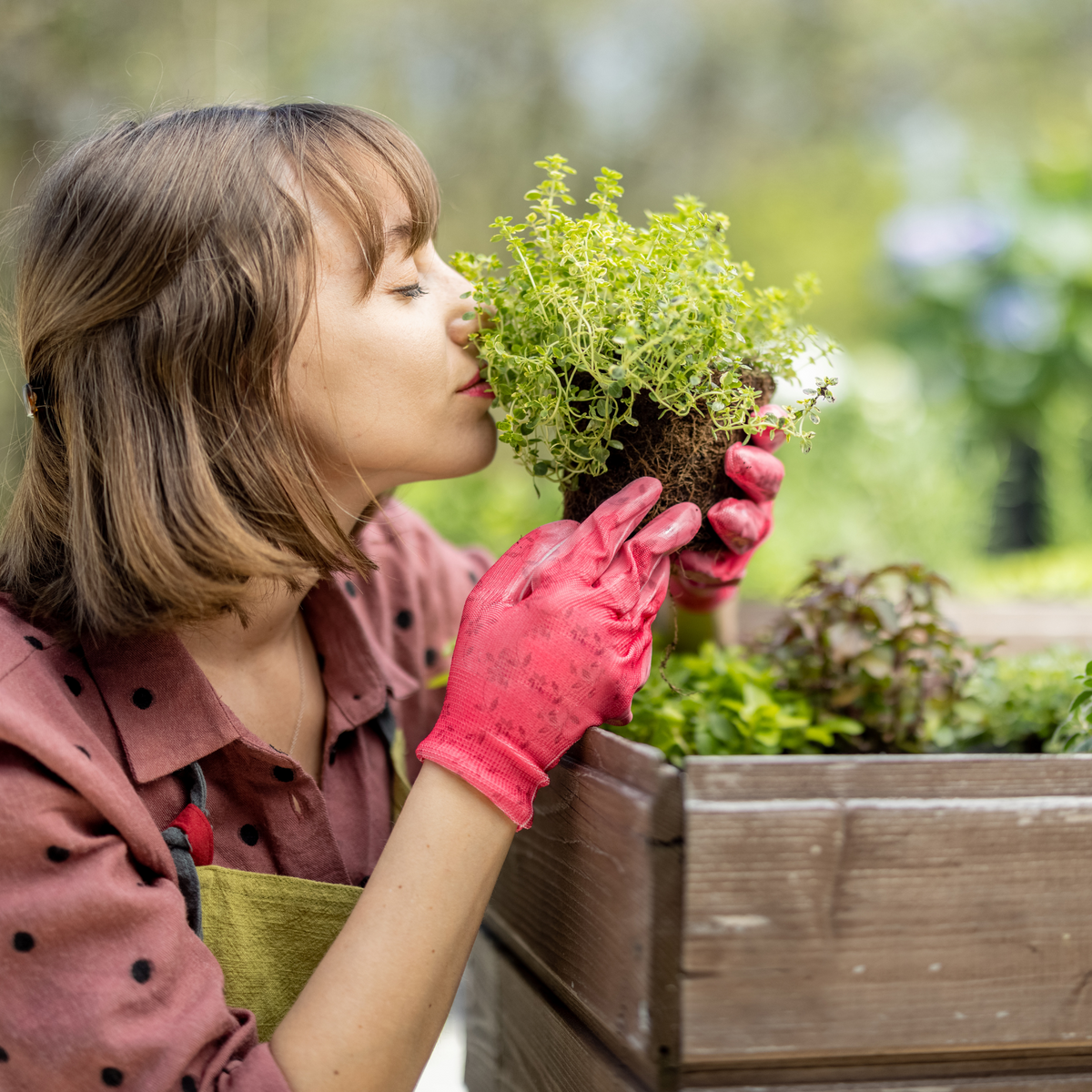 A photo of a flourishing vegetable garden with various types of vegetables, herbs, and flowers growing in raised beds