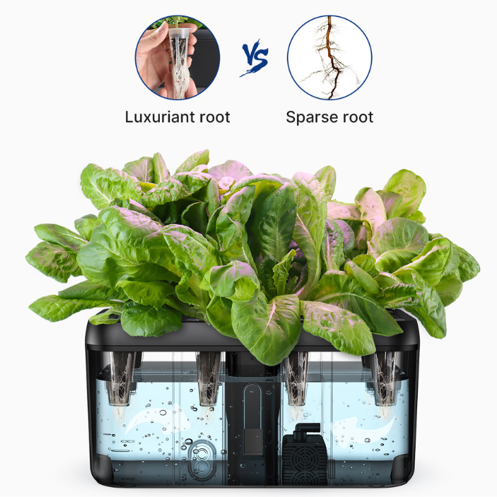 Home Garden Kit - 12 Pods 80% OFF _wf_cus BFD AU Hydroponic Growing System by idoogroup