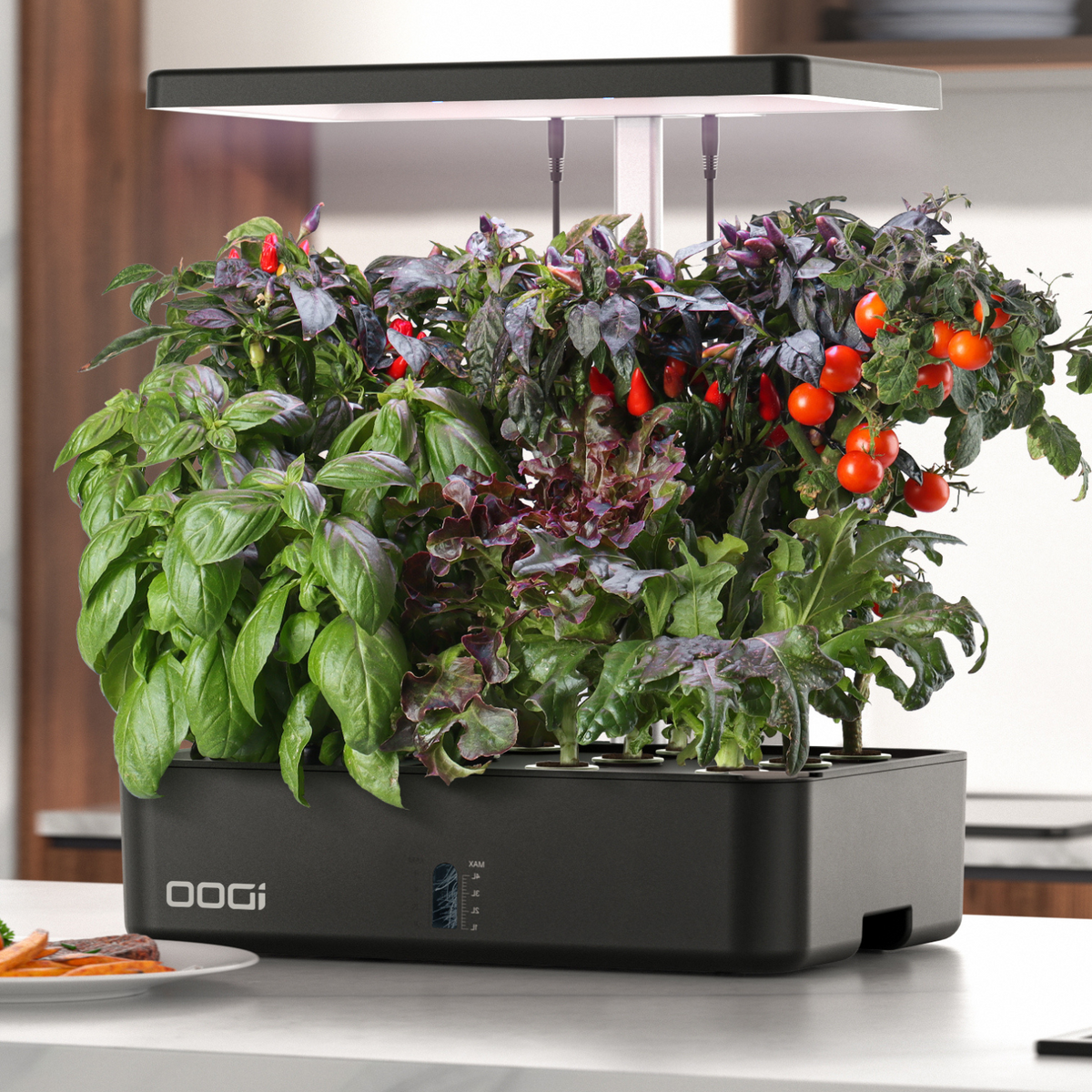 "Faster Growth with Hydroponic Systems: How It Works" article with a picture of a hydroponic system with plants growing in a nutrient-rich solution and a pump circulating the solution through the system.